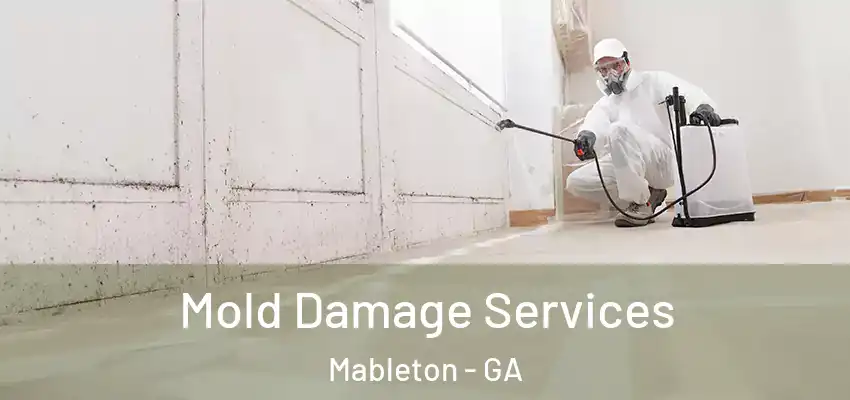 Mold Damage Services Mableton - GA