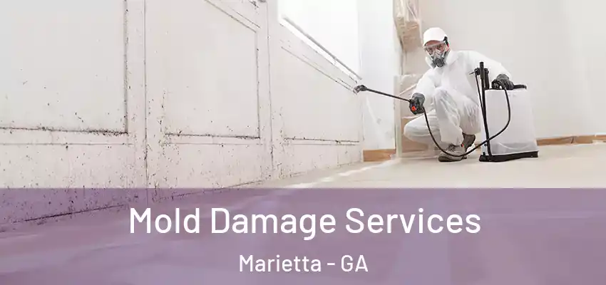  Mold Damage Services Marietta - GA