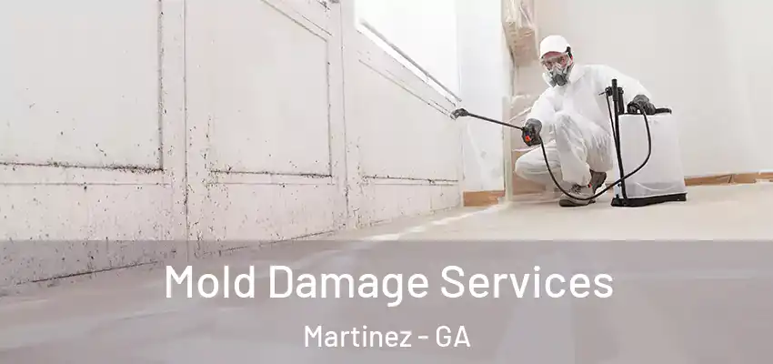  Mold Damage Services Martinez - GA