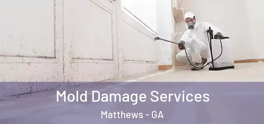  Mold Damage Services Matthews - GA