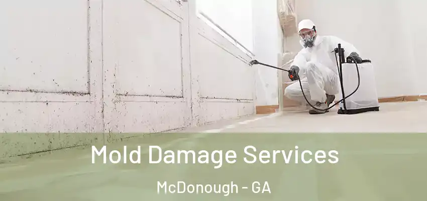  Mold Damage Services McDonough - GA