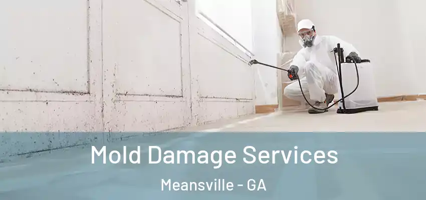 Mold Damage Services Meansville - GA