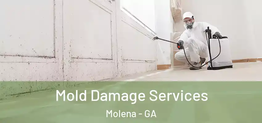Mold Damage Services Molena - GA