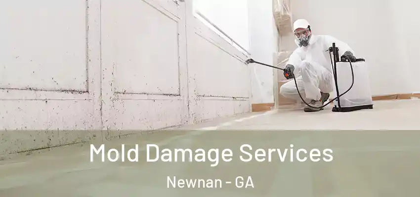  Mold Damage Services Newnan - GA