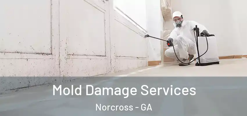  Mold Damage Services Norcross - GA