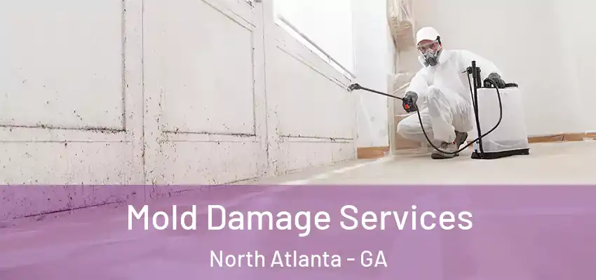 Mold Damage Services North Atlanta - GA
