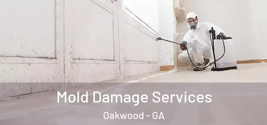  Mold Damage Services Oakwood - GA