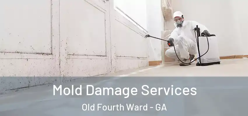  Mold Damage Services Old Fourth Ward - GA