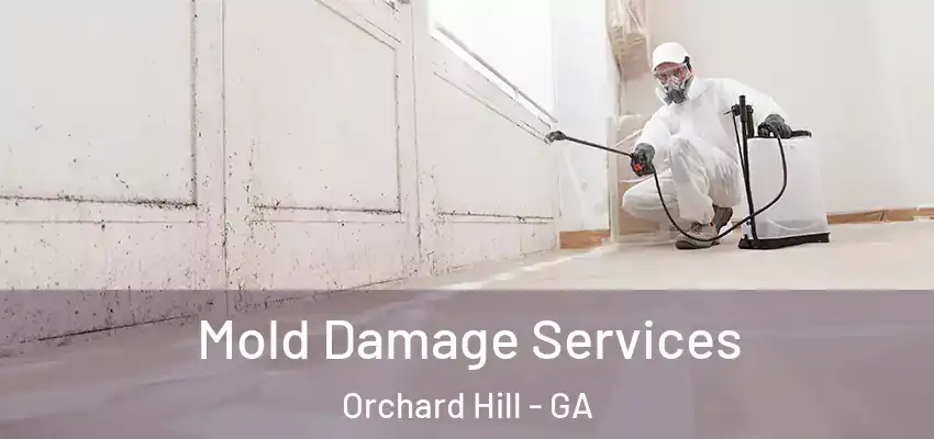 Mold Damage Services Orchard Hill - GA