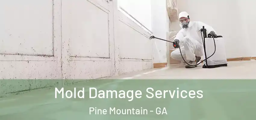  Mold Damage Services Pine Mountain - GA