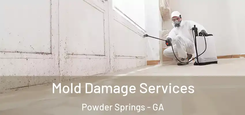  Mold Damage Services Powder Springs - GA