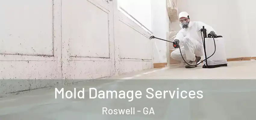  Mold Damage Services Roswell - GA