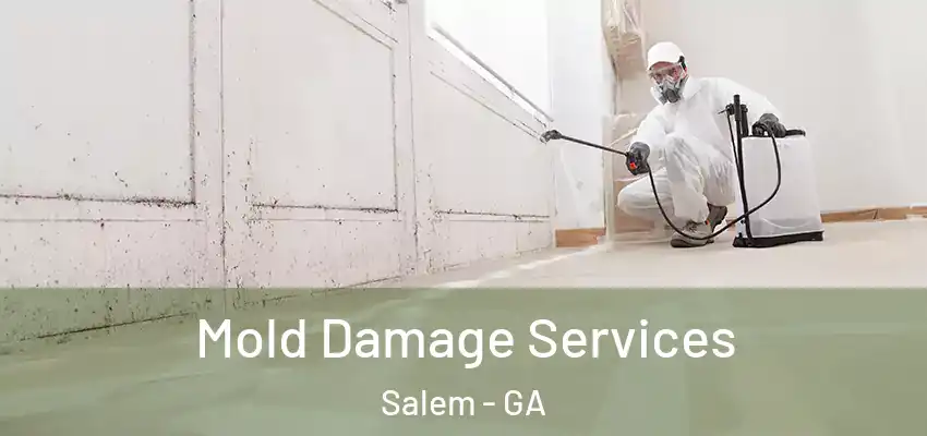 Mold Damage Services Salem - GA