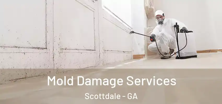  Mold Damage Services Scottdale - GA