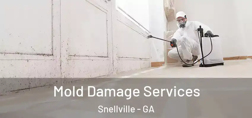 Mold Damage Services Snellville - GA