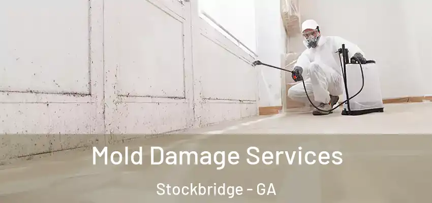  Mold Damage Services Stockbridge - GA
