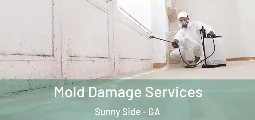  Mold Damage Services Sunny Side - GA