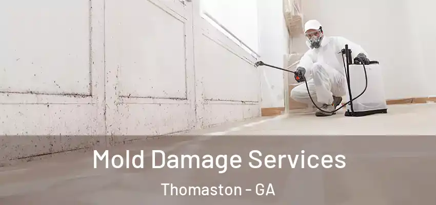 Mold Damage Services Thomaston - GA