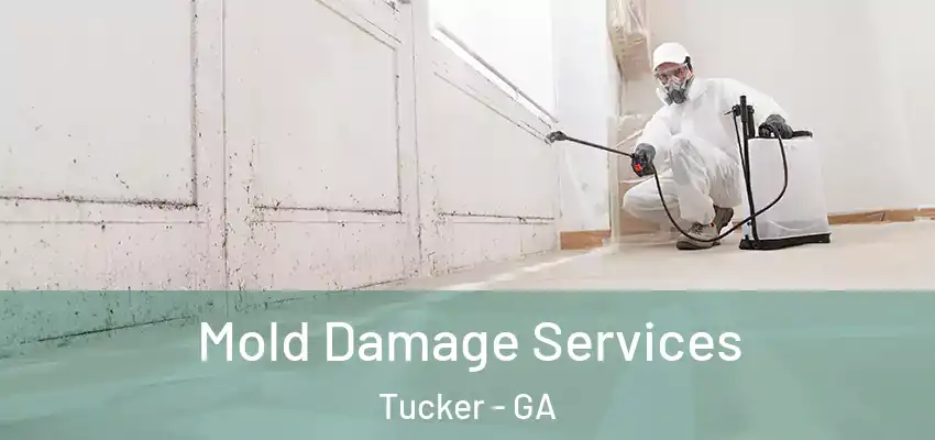  Mold Damage Services Tucker - GA