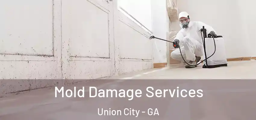  Mold Damage Services Union City - GA