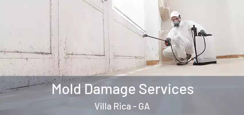  Mold Damage Services Villa Rica - GA