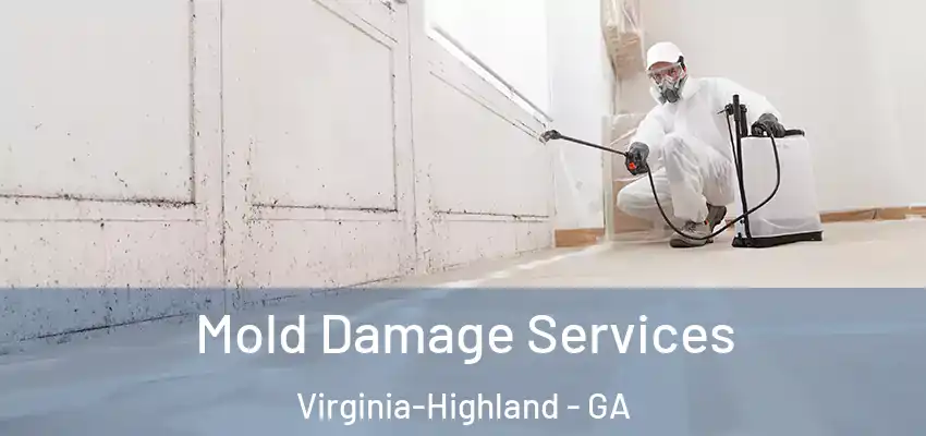 Mold Damage Services Virginia-Highland - GA
