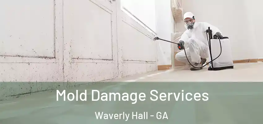  Mold Damage Services Waverly Hall - GA