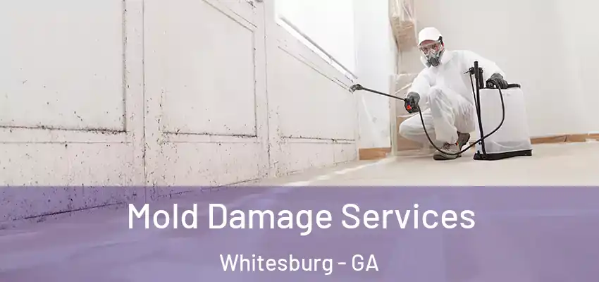 Mold Damage Services Whitesburg - GA