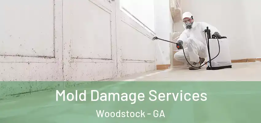 Mold Damage Services Woodstock - GA