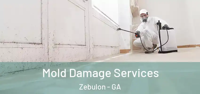  Mold Damage Services Zebulon - GA