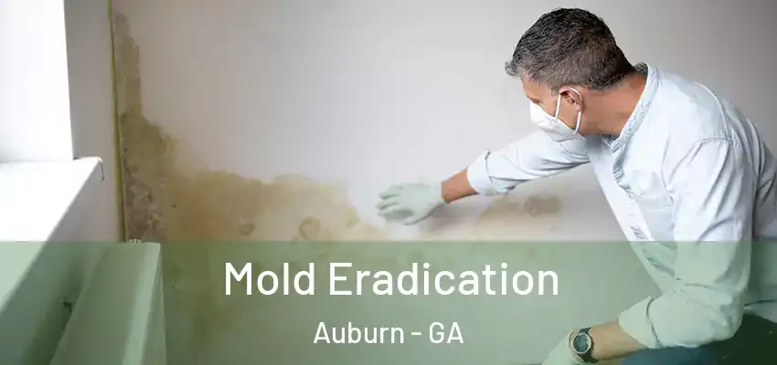Mold Eradication Auburn - GA