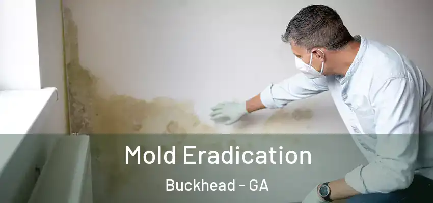  Mold Eradication Buckhead - GA