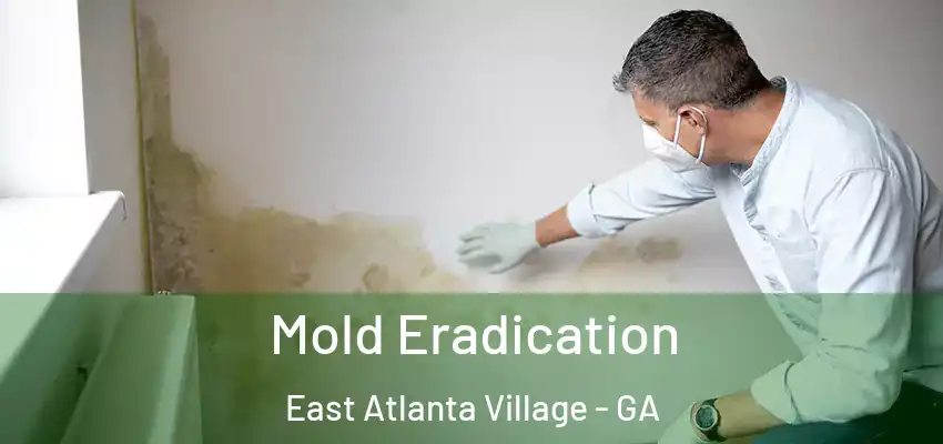 Mold Eradication East Atlanta Village - GA