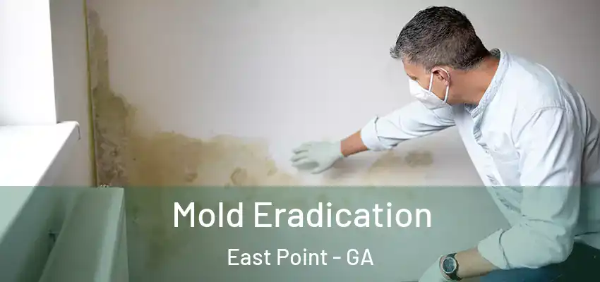 Mold Eradication East Point - GA