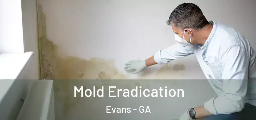  Mold Eradication Evans - GA