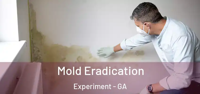 Mold Eradication Experiment - GA