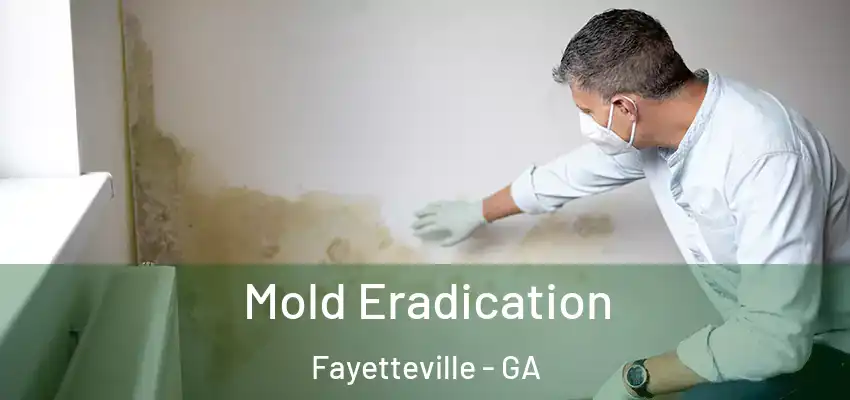  Mold Eradication Fayetteville - GA