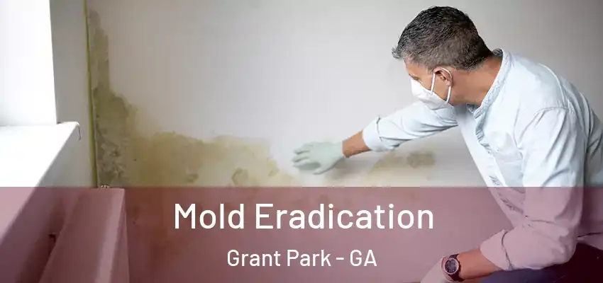  Mold Eradication Grant Park - GA