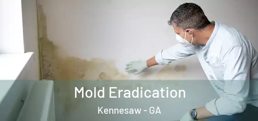  Mold Eradication Kennesaw - GA