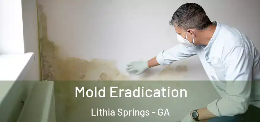 Mold Eradication Lithia Springs - GA