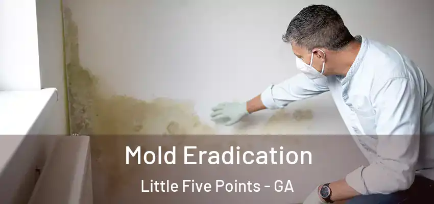  Mold Eradication Little Five Points - GA