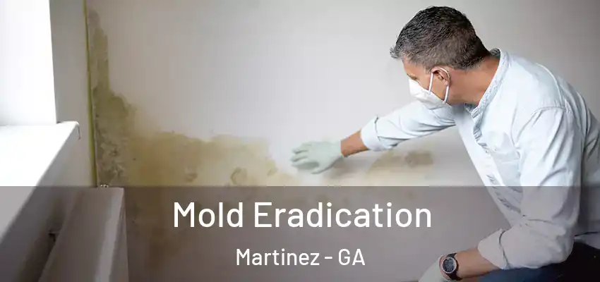  Mold Eradication Martinez - GA