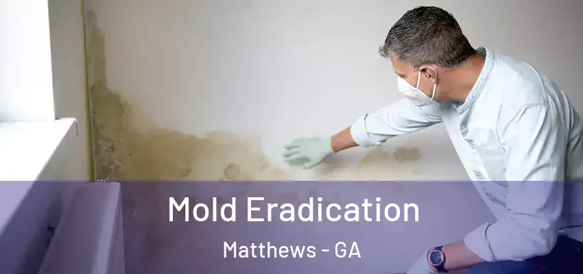 Mold Eradication Matthews - GA