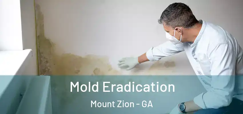  Mold Eradication Mount Zion - GA