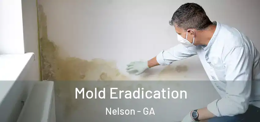  Mold Eradication Nelson - GA