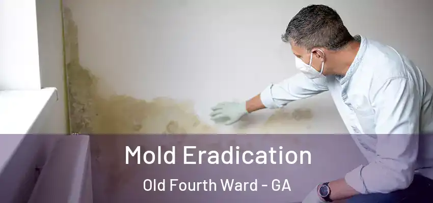  Mold Eradication Old Fourth Ward - GA