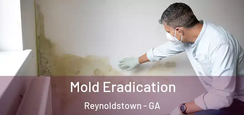  Mold Eradication Reynoldstown - GA