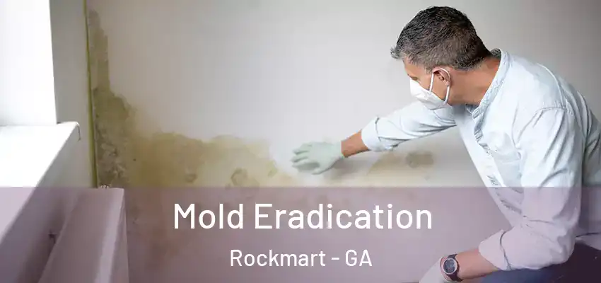  Mold Eradication Rockmart - GA