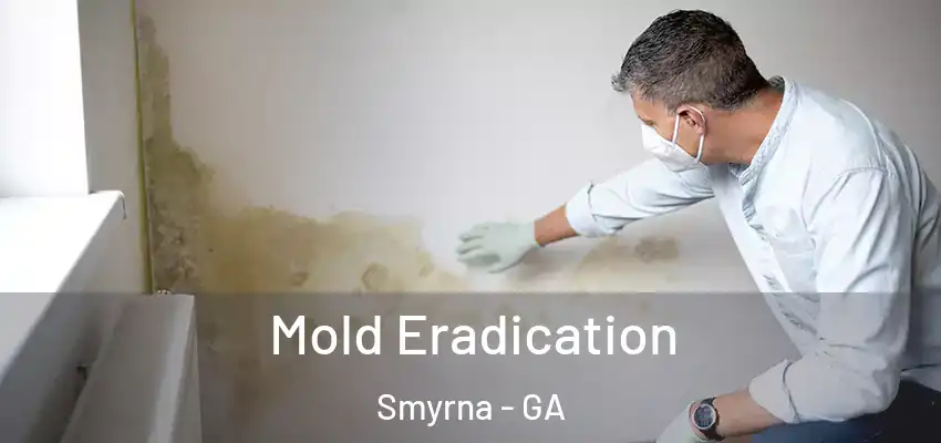  Mold Eradication Smyrna - GA
