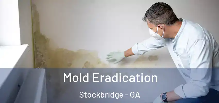  Mold Eradication Stockbridge - GA